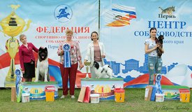 бус.jpg (185.36 КБ, Просмотров: 1667) бус.jpg