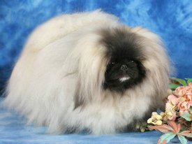 C890B907-E951-44C0-8711-142450E08EB6.jpeg (202.82 КБ, Просмотров: 1566) C890B907-E951-44C0-8711-142450E08EB6.jpeg