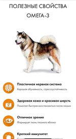 FB_IMG_1561352381840.jpg (32.56 КБ, Просмотров: 3255) FB_IMG_1561352381840.jpg