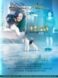 69233326_464953707421002_8818563354797801472_n.jpg (192.73 КБ, Просмотров: 20798) 69233326_464953707421002_8818563354797801472_n.jpg