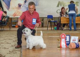 абба3.jpg (15.68 КБ, Просмотров: 1461) абба3.jpg