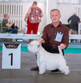 IMG-20190903-WA0010.jpg (62.67 КБ, Просмотров: 1461) IMG-20190903-WA0010.jpg