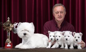 IMG-20190903-WA0007.jpg (91.5 КБ, Просмотров: 1461) IMG-20190903-WA0007.jpg