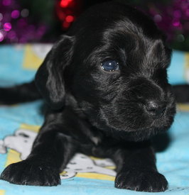 IMG5489JPG.jpg (99.91 КБ, Просмотров: 2918) IMG5489JPG.jpg