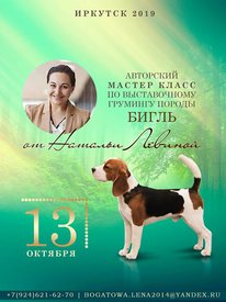 70984121_2417817071598939_1298566779076870144_n.jpg (48.99 КБ, Просмотров: 8523) 70984121_2417817071598939_1298566779076870144_n.jpg