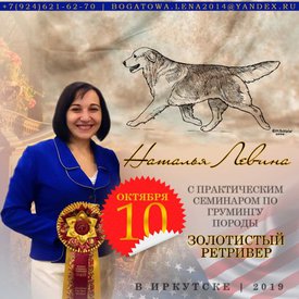 71181312_574499843086631_5524728595915735040_n.jpg (84.29 КБ, Просмотров: 8227) 71181312_574499843086631_5524728595915735040_n.jpg