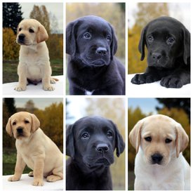 InFrame_1570291737050.jpg (180.52 КБ, Просмотров: 1427) InFrame_1570291737050.jpg