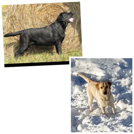 InFrame_1570291529973.jpg (135.77 КБ, Просмотров: 1427) InFrame_1570291529973.jpg