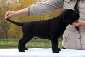 IMG_5661.JPG (83.42 КБ, Просмотров: 1427) IMG_5661.JPG