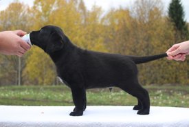 IMG_5724.JPG (77.09 КБ, Просмотров: 1427) IMG_5724.JPG