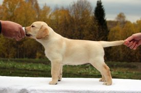 IMG_5779.JPG (80.25 КБ, Просмотров: 1427) IMG_5779.JPG