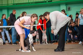 72542209_2477543715904257_4567594605721157632_n.jpg (69.82 КБ, Просмотров: 7236) 72542209_2477543715904257_4567594605721157632_n.jpg