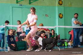 72452842_2477543809237581_3875032529400496128_n.jpg (61.99 КБ, Просмотров: 7042) 72452842_2477543809237581_3875032529400496128_n.jpg