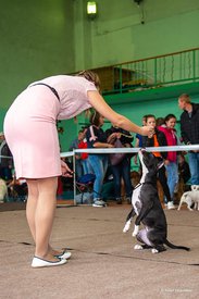 72436960_2477544302570865_3552401754425393152_n.jpg (61.88 КБ, Просмотров: 7236) 72436960_2477544302570865_3552401754425393152_n.jpg