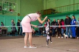 72370534_2477544052570890_8417267290269024256_n.jpg (66.18 КБ, Просмотров: 7403) 72370534_2477544052570890_8417267290269024256_n.jpg
