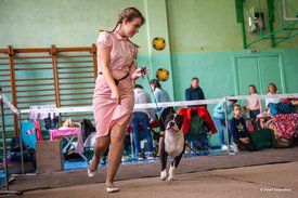 71023388_2477543909237571_1840504167643217920_n.jpg (70.68 КБ, Просмотров: 7403) 71023388_2477543909237571_1840504167643217920_n.jpg
