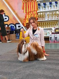 71289740_2470087209983241_6471684222288396288_n.jpg (108.11 КБ, Просмотров: 7041) 71289740_2470087209983241_6471684222288396288_n.jpg