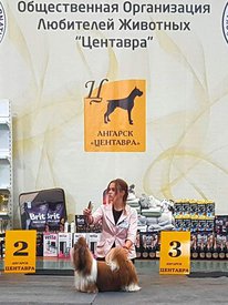 71391853_2470087329983229_6035340571789230080_n.jpg (77 КБ, Просмотров: 7326) 71391853_2470087329983229_6035340571789230080_n.jpg