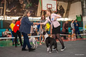 71106360_2468827673442528_4822216209946640384_n.jpg (78.61 КБ, Просмотров: 7329) 71106360_2468827673442528_4822216209946640384_n.jpg