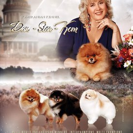 61987230_10219142302849946_441588200704573440_n.jpg (210.87 КБ, Просмотров: 11228) 61987230_10219142302849946_441588200704573440_n.jpg