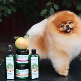 71473591_10220236914974565_3489982711244783616_n.jpg (62.47 КБ, Просмотров: 11228) 71473591_10220236914974565_3489982711244783616_n.jpg