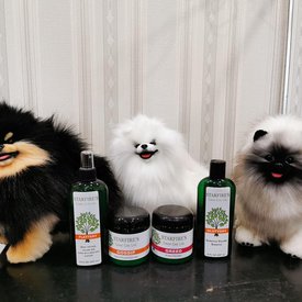 71884870_10220236916174595_8657545756720234496_n.jpg (80.31 КБ, Просмотров: 11366) 71884870_10220236916174595_8657545756720234496_n.jpg