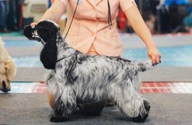 8E195C2D-B243-4C0A-AB72-FA063130CF8D.jpeg (77.78 КБ, Просмотров: 2974) 8E195C2D-B243-4C0A-AB72-FA063130CF8D.jpeg