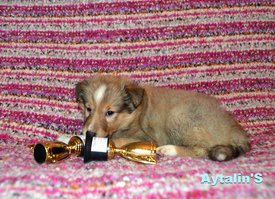 73217456_2680426835349132_8475471024912072704_o.jpg (156.67 КБ, Просмотров: 1253) 73217456_2680426835349132_8475471024912072704_o.jpg