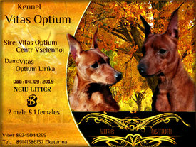 презент6.jpg (418.71 КБ, Просмотров: 1442) презент6.jpg