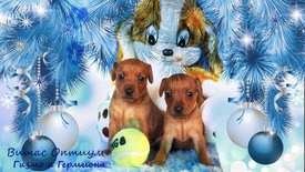 кать - копия.jpg (149.69 КБ, Просмотров: 3026) кать - копия.jpg