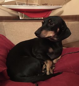 FFD09ECE-0C6A-49AE-A651-4667B40599FF.jpeg (166.8 КБ, Просмотров: 3080) FFD09ECE-0C6A-49AE-A651-4667B40599FF.jpeg