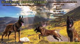 папа.jpg (456.93 КБ, Просмотров: 3199) папа.jpg