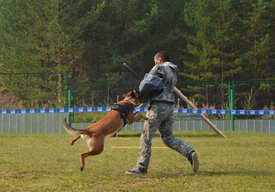 AA-iWR7I7Dw.jpg (295.36 КБ, Просмотров: 3095) AA-iWR7I7Dw.jpg