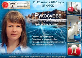 Рукосуева банер.jpg