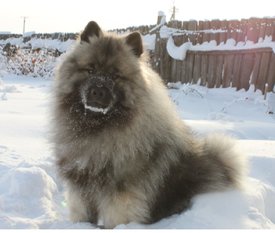 Screenshot_20200112_100400.jpg (215.25 КБ, Просмотров: 3942) Screenshot_20200112_100400.jpg