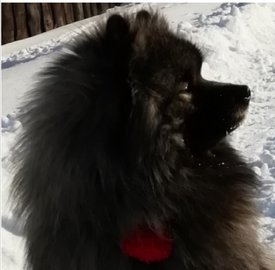 Screenshot_20200112_100149.jpg (200.01 КБ, Просмотров: 3941) Screenshot_20200112_100149.jpg