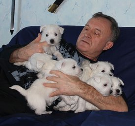 20200202_190948.jpg (82.94 КБ, Просмотров: 2363) 20200202_190948.jpg