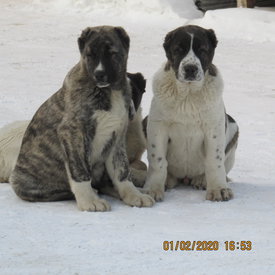 IMG_2092.JPG (304.35 КБ, Просмотров: 1226) IMG_2092.JPG