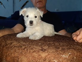 20200210_124237.jpg (128.97 КБ, Просмотров: 2316) 20200210_124237.jpg