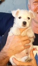 20200210_221609.jpg (44.92 КБ, Просмотров: 2316) 20200210_221609.jpg