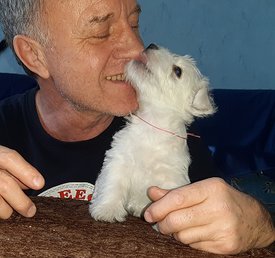 20200210_222111.jpg (60.54 КБ, Просмотров: 2316) 20200210_222111.jpg