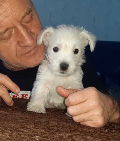 20200210_222136.jpg (50.92 КБ, Просмотров: 2316) 20200210_222136.jpg