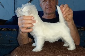 20200210_222503.jpg (68.56 КБ, Просмотров: 2316) 20200210_222503.jpg