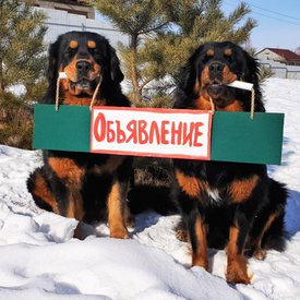 изображение_viber_2020-02-28_13-39-02.jpg (130.47 КБ, Просмотров: 2488) изображение_viber_2020-02-28_13-39-02.jpg