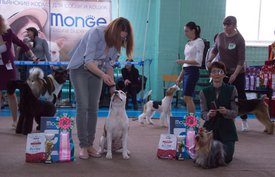 _DSC3361.jpg (85.12 КБ, Просмотров: 9412) _DSC3361.jpg