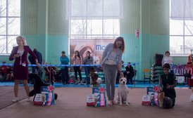 _DSC3362.jpg (80.31 КБ, Просмотров: 9623) _DSC3362.jpg