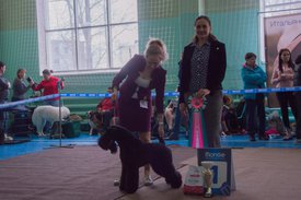 _DSC3375.jpg (83.46 КБ, Просмотров: 9969) _DSC3375.jpg