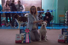 _DSC3378.jpg (82.47 КБ, Просмотров: 9623) _DSC3378.jpg