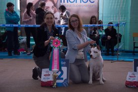 _DSC3387.jpg (80.28 КБ, Просмотров: 9617) _DSC3387.jpg