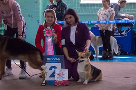 _DSC3412.jpg (90.1 КБ, Просмотров: 9411) _DSC3412.jpg